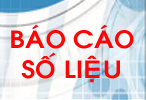 Báo cáo số liệu